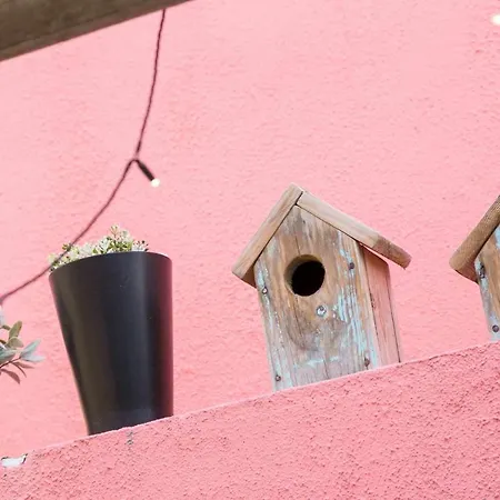 Charming With Terrace St Amaro Appartement